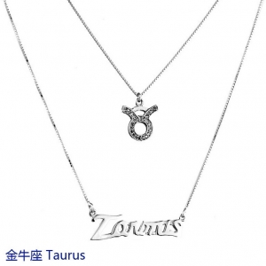 十二星座金牛座 Taurus图标英文双层套链925纯银项链女